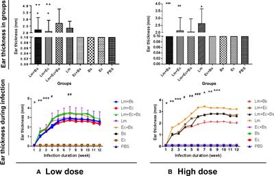 Co-infection of Phlebotomus papatasi (Diptera: Psychodidae) gut bacteria with Leishmania major exacerbates the pathological responses of BALB/c mice